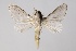  ( - GD-GF0180)  @11 [ ] Copyright (2020) Guy Durand Research Collection of Guy Durand