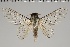  ( - GD-GF0181)  @11 [ ] Copyright (2020) Guy Durand Research Collection of Guy Durand
