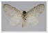 ( - GD-GF0182)  @11 [ ] Copyright (2020) Guy Durand Research Collection of Guy Durand