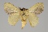  ( - GD-GF0183)  @11 [ ] Copyright (2020) Guy Durand Research Collection of Guy Durand