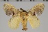  ( - GD-GF0184)  @11 [ ] Copyright (2020) Guy Durand Research Collection of Guy Durand