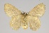  ( - GD-GF0190)  @11 [ ] Copyright (2020) Guy Durand Research Collection of Guy Durand