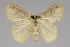  ( - GD-GF0192)  @11 [ ] Copyright (2020) Guy Durand Research Collection of Guy Durand