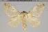  ( - GD-GF0201)  @11 [ ] Copyright (2020) Guy Durand Research Collection of Guy Durand