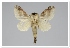  ( - GD-GF0203)  @11 [ ] Copyright (2020) Guy Durand Research Collection of Guy Durand