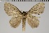  ( - GD-GF0211)  @11 [ ] Copyright (2020) Guy Durand Research Collection of Guy Durand