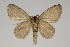  ( - GD-GF0211)  @11 [ ] Copyright (2020) Guy Durand Research Collection of Guy Durand