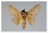  ( - GD-GF0218)  @11 [ ] Copyright (2020) Guy Durand Research Collection of Guy Durand