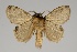  ( - GD-GF0228)  @11 [ ] Copyright (2020) Guy Durand Research Collection of Guy Durand