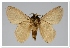  ( - GD-GF0258)  @11 [ ] Copyright (2020) Guy Durand Research Collection of Guy Durand