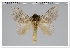  ( - GD-GF0272)  @11 [ ] Copyright (2020) Guy Durand Research Collection of Guy Durand