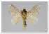  ( - GD-GF0272)  @11 [ ] Copyright (2020) Guy Durand Research Collection of Guy Durand