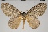  ( - GD-GF0292)  @11 [ ] Copyright (2020) Guy Durand Research Collection of Guy Durand