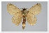  ( - GD-GF0299)  @11 [ ] Copyright (2020) Guy Durand Research Collection of Guy Durand