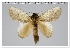  ( - GD-GF0301)  @11 [ ] Copyright (2020) Guy Durand Research Collection of Guy Durand