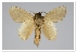  ( - GD-GF0301)  @11 [ ] Copyright (2020) Guy Durand Research Collection of Guy Durand