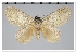  ( - GD-GF0303)  @11 [ ] Copyright (2020) Guy Durand Research Collection of Guy Durand