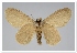 ( - GD-GF0303)  @11 [ ] Copyright (2020) Guy Durand Research Collection of Guy Durand