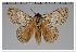  ( - GD-GF0305)  @11 [ ] Copyright (2020) Guy Durand Research Collection of Guy Durand