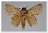  ( - GD-GF0305)  @11 [ ] Copyright (2020) Guy Durand Research Collection of Guy Durand