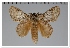  ( - GD-GF0310)  @11 [ ] Copyright (2020) Guy Durand Research Collection of Guy Durand