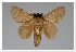  ( - GD-GF0310)  @11 [ ] Copyright (2020) Guy Durand Research Collection of Guy Durand