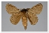  ( - GD-GF0312)  @11 [ ] Copyright (2020) Guy Durand Research Collection of Guy Durand