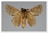  ( - GD-GF0314)  @11 [ ] Copyright (2020) Guy Durand Research Collection of Guy Durand
