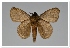  ( - GD-GF0319)  @11 [ ] Copyright (2020) Guy Durand Research Collection of Guy Durand