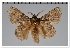  ( - GD-GF0321)  @11 [ ] Copyright (2020) Guy Durand Research Collection of Guy Durand