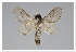  ( - GD-GF0325)  @11 [ ] Copyright (2020) Guy Durand Research Collection of Guy Durand