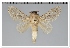  ( - GD-GF0329)  @11 [ ] Copyright (2020) Guy Durand Research Collection of Guy Durand