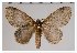  ( - GD-GF0358)  @11 [ ] Copyright (2020) Guy Durand Research Collection of Guy Durand