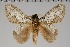  ( - GD-GF 0142)  @11 [ ] Copyright (2019) Guy Durand Unspecified