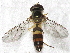  ( - BIOUG28571-G02)  @13 [ ] CreativeCommons - Attribution (2016) Libby Avis Centre for Biodiversity Genomics