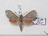  ( - BC-Basq 3179)  @12 [ ] Copyright (2011) Patrick Basquin Research Collection of Patrick Basquin