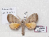  ( - BC-Basq 3189)  @13 [ ] Copyright (2011) Patrick Basquin Research Collection of Patrick Basquin