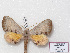  ( - BC-Basq 3190)  @11 [ ] Copyright (2011) Patrick Basquin Research Collection of Patrick Basquin