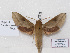  ( - BC-Basq 3196)  @12 [ ] Copyright (2011) Patrick Basquin Research Collection of Patrick Basquin