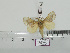 ( - BC-Basq 3223)  @13 [ ] Copyright (2011) Patrick Basquin Research Collection of Patrick Basquin