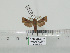 ( - BC-Basq 3226)  @12 [ ] Copyright (2011) Patrick Basquin Research Collection of Patrick Basquin