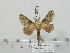  ( - BC-Basq 3240)  @14 [ ] Copyright (2011) Patrick Basquin Research Collection of Patrick Basquin