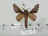  ( - BC-Basq 3263)  @11 [ ] Copyright (2011) Patrick Basquin Research Collection of Patrick Basquin
