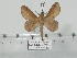  ( - BC-Basq 3266)  @11 [ ] Copyright (2011) Patrick Basquin Research Collection of Patrick Basquin