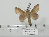  ( - BC-Basq 3268)  @13 [ ] Copyright (2011) Patrick Basquin Research Collection of Patrick Basquin