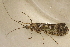  ( - TPA 016-12)  @13 [ ] CreativeCommons - Attribution (2012) Libby Avis Centre for Biodiversity Genomics