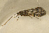 ( - TPA 028-12)  @13 [ ] CreativeCommons - Attribution (2012) Libby Avis Centre for Biodiversity Genomics