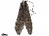  ( - TPA 070-12)  @11 [ ] CreativeCommons - Attribution (2019) CBG Photography Group Centre for Biodiversity Genomics