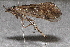  ( - TPA 110-12)  @12 [ ] CreativeCommons - Attribution (2012) CBG Photography Group Centre for Biodiversity Genomics