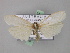  ( - BC ZSM Lep 02342)  @13 [ ] CreativeCommons - Attribution Non-Commercial Share-Alike (2010) Unspecified SNSB, Zoologische Staatssammlung Muenchen